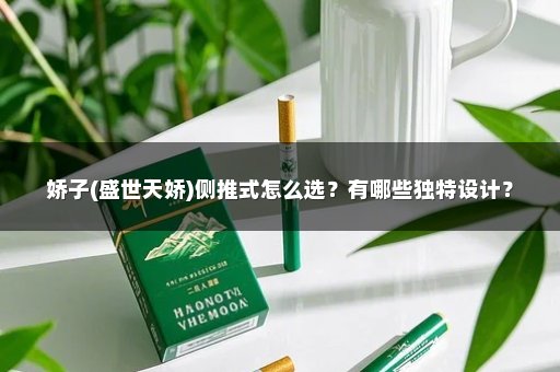 娇子(盛世天娇)侧推式怎么选？有哪些独特设计？