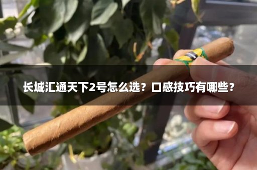 长城汇通天下2号怎么选？口感技巧有哪些？